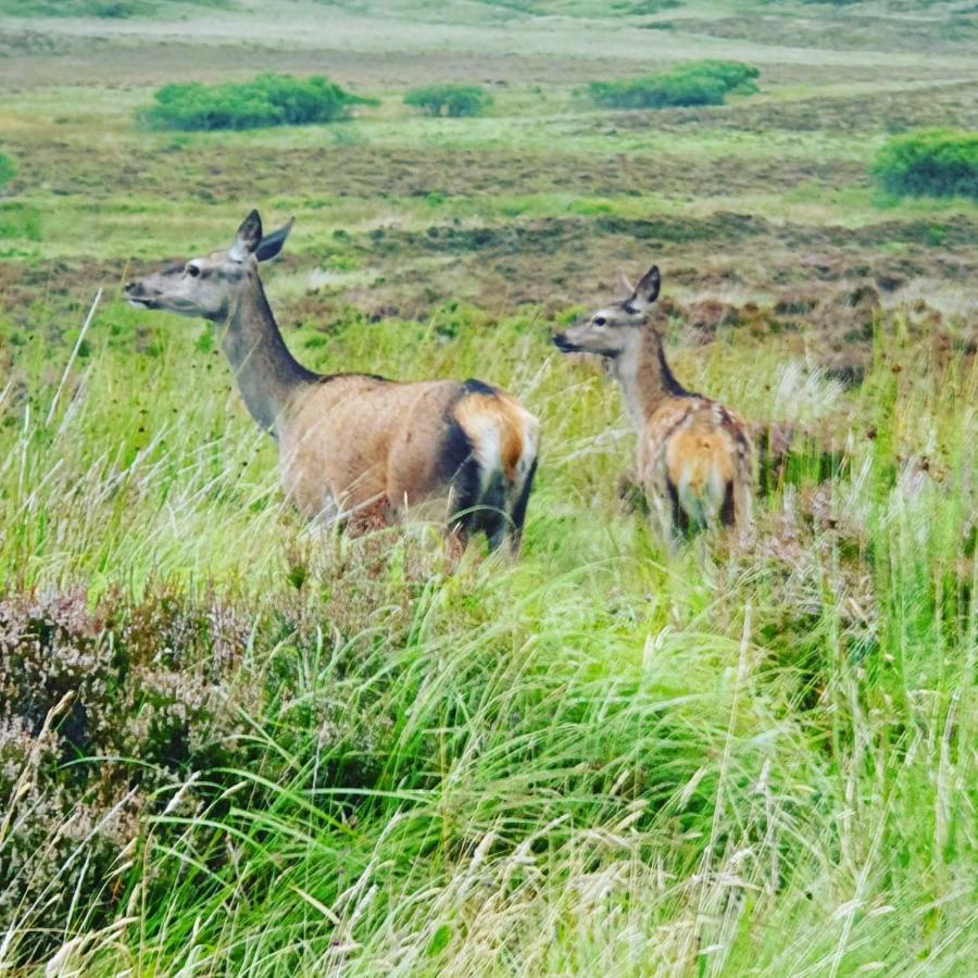 Deer Green Place Kinloch Exterior foto